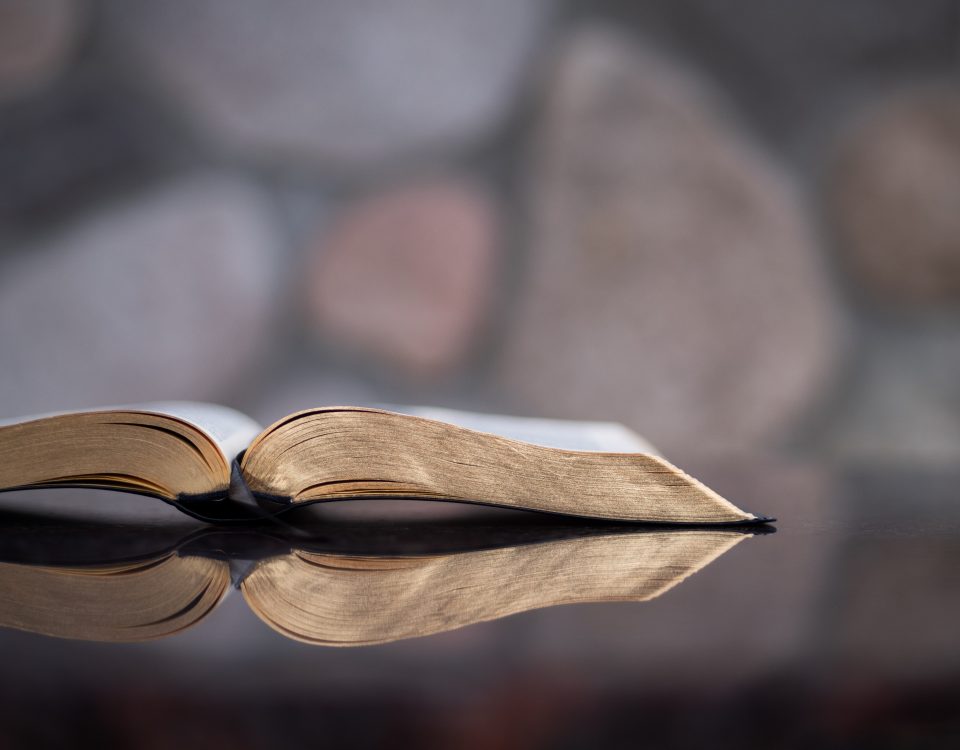 The question of Bible readers versus simply being quoted